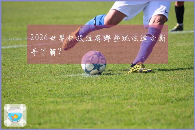 2026世界杯投注有哪些玩法适合新手了解？