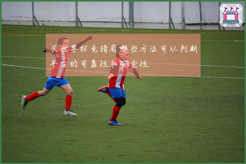 买世界杯竞猜有哪些方法可以判断平台的可靠性和安全性