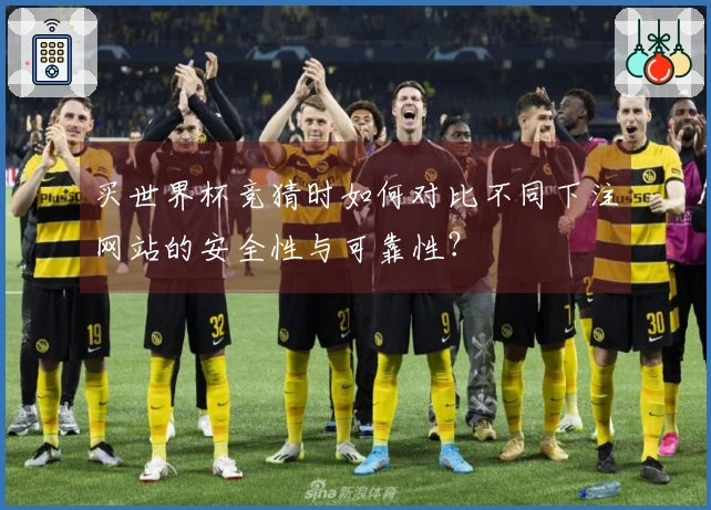 买世界杯竞猜时如何对比不同下注网站的安全性与可靠性？