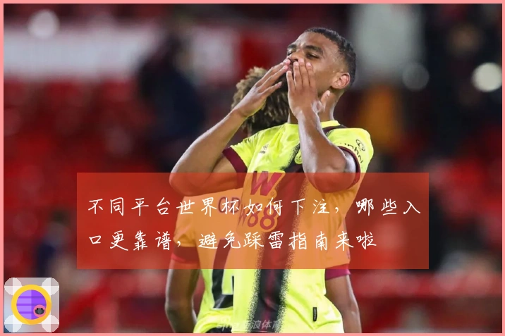 不同平台世界杯如何下注，哪些入口更靠谱，避免踩雷指南来啦