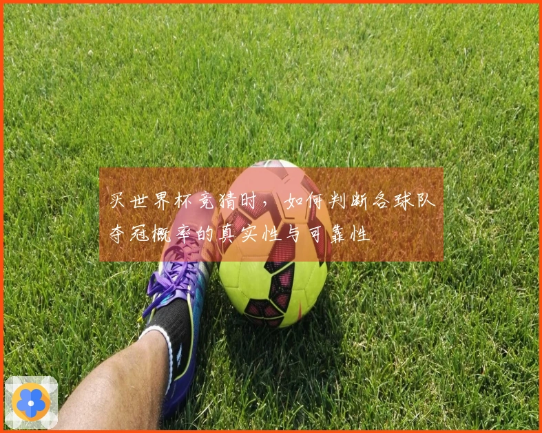 买世界杯竞猜时，如何判断各球队夺冠概率的真实性与可靠性
