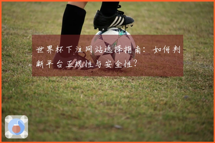 世界杯下注网站选择指南：如何判断平台正规性与安全性？
