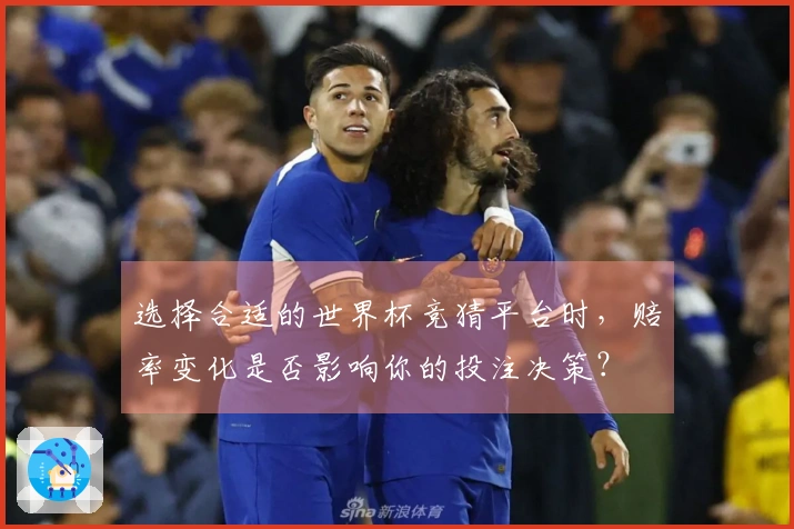 选择合适的世界杯竞猜平台时，赔率变化是否影响你的投注决策？