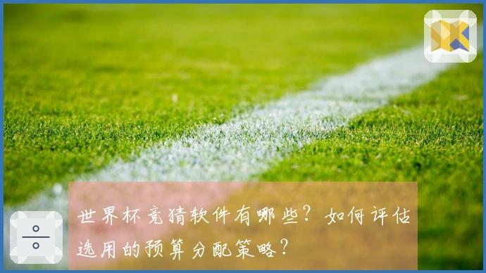 世界杯竞猜软件有哪些？如何评估选用的预算分配策略？