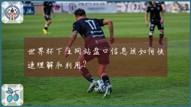 世界杯下注网站盘口信息该如何快速理解和利用？