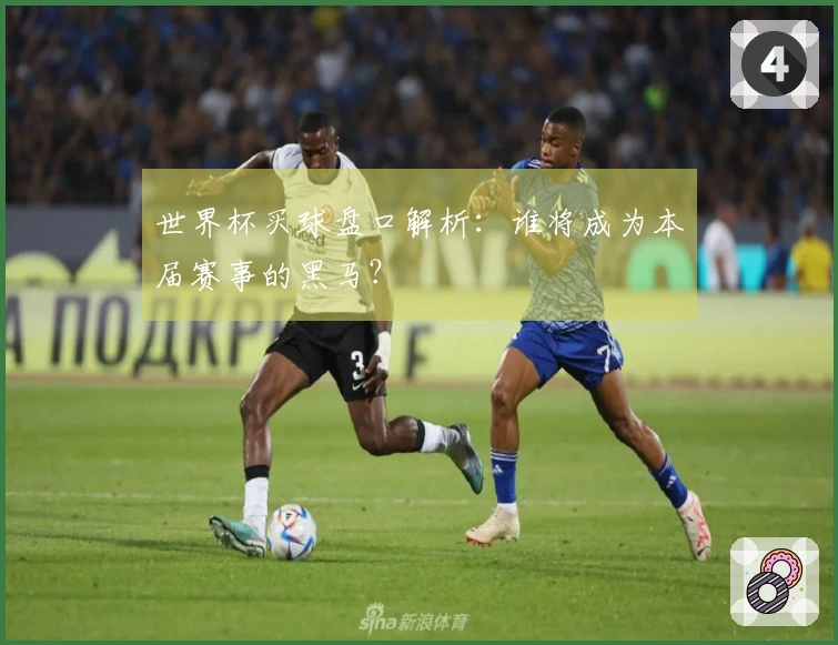 世界杯买球盘口解析：谁将成为本届赛事的黑马？