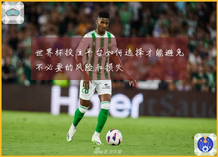 世界杯投注平台如何选择才能避免不必要的风险和损失