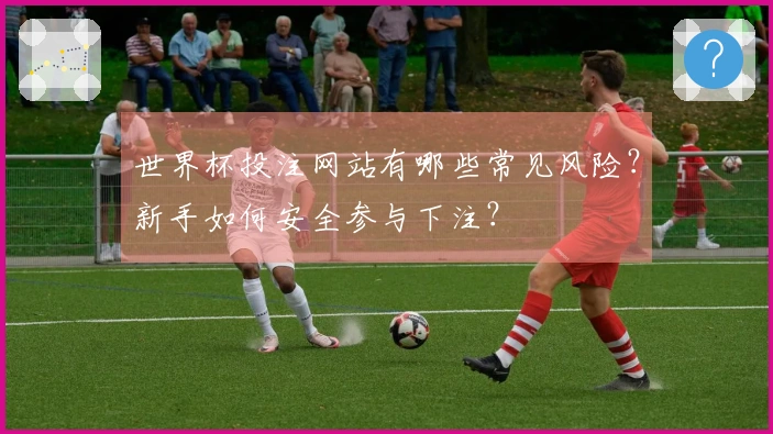 世界杯投注网站有哪些常见风险？新手如何安全参与下注？