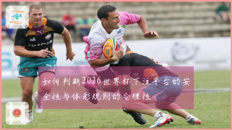 如何判断2026世界杯下注平台的安全性与体彩规则的合理性