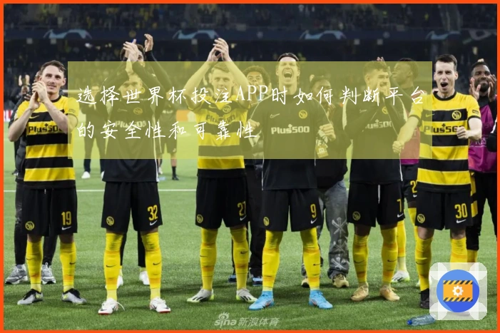 选择世界杯投注APP时如何判断平台的安全性和可靠性