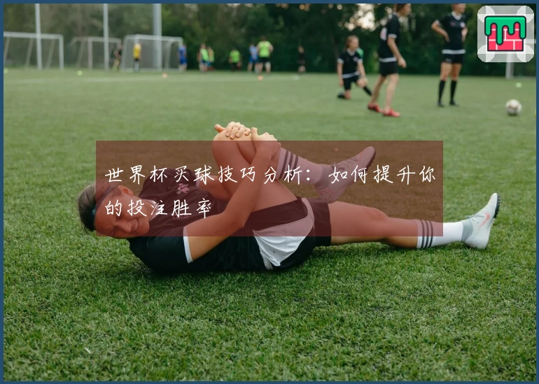 世界杯买球技巧分析：如何提升你的投注胜率