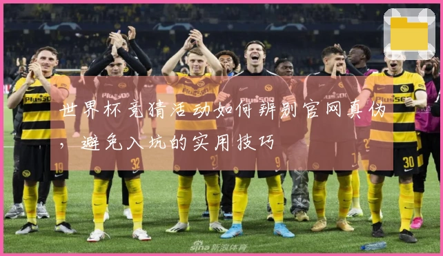 世界杯竞猜活动如何辨别官网真伪，避免入坑的实用技巧