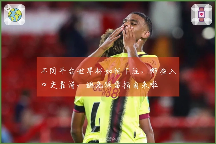 不同平台世界杯如何下注，哪些入口更靠谱，避免踩雷指南来啦