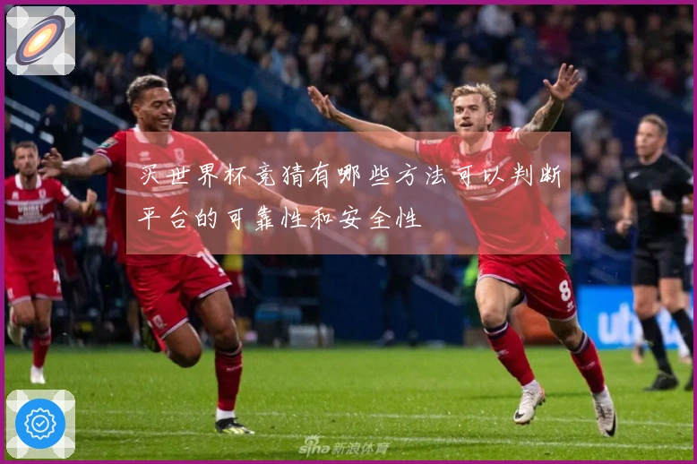 买世界杯竞猜有哪些方法可以判断平台的可靠性和安全性