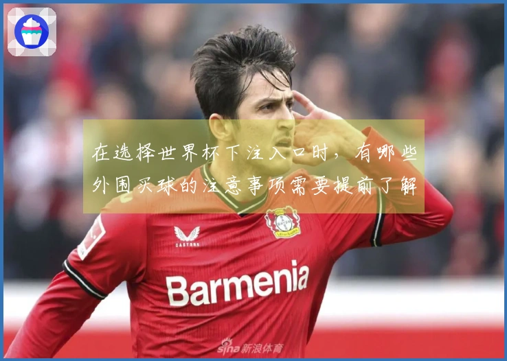 在选择世界杯下注入口时，有哪些外围买球的注意事项需要提前了解？