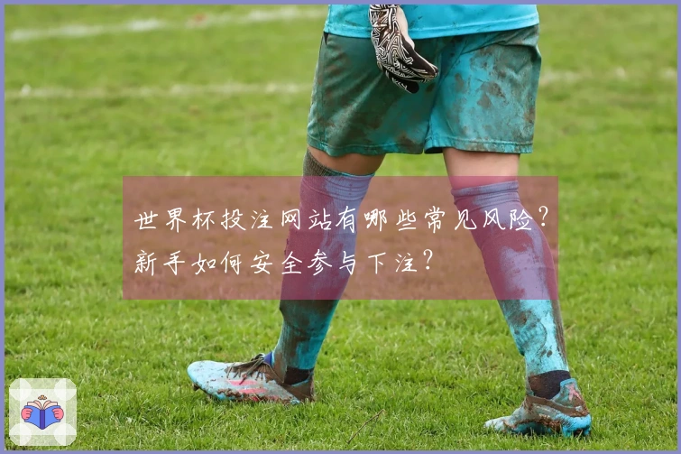 世界杯投注网站有哪些常见风险？新手如何安全参与下注？