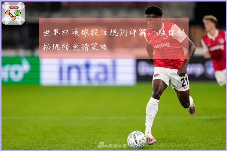 世界杯滚球投注规则详解,助你轻松玩转竞猜策略