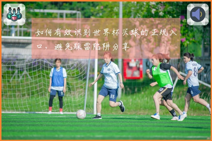 如何有效识别世界杯买球的正规入口，避免踩雷陷阱分享