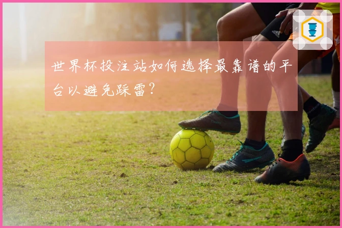 世界杯投注站如何选择最靠谱的平台以避免踩雷？
