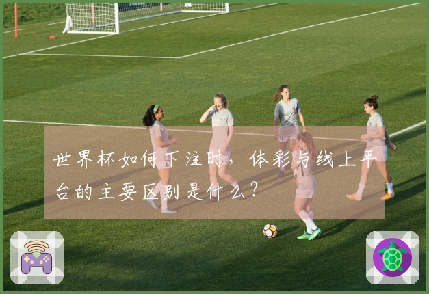 世界杯如何下注时，体彩与线上平台的主要区别是什么？