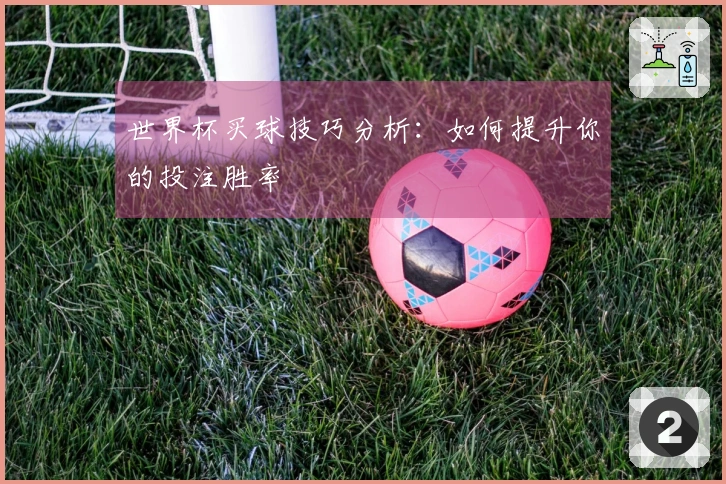 世界杯买球技巧分析：如何提升你的投注胜率
