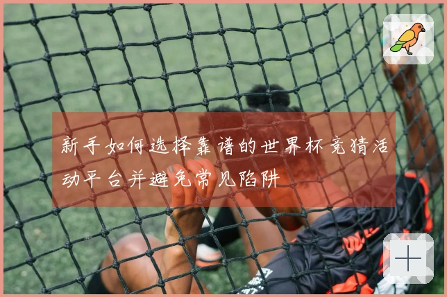 新手如何选择靠谱的世界杯竞猜活动平台并避免常见陷阱
