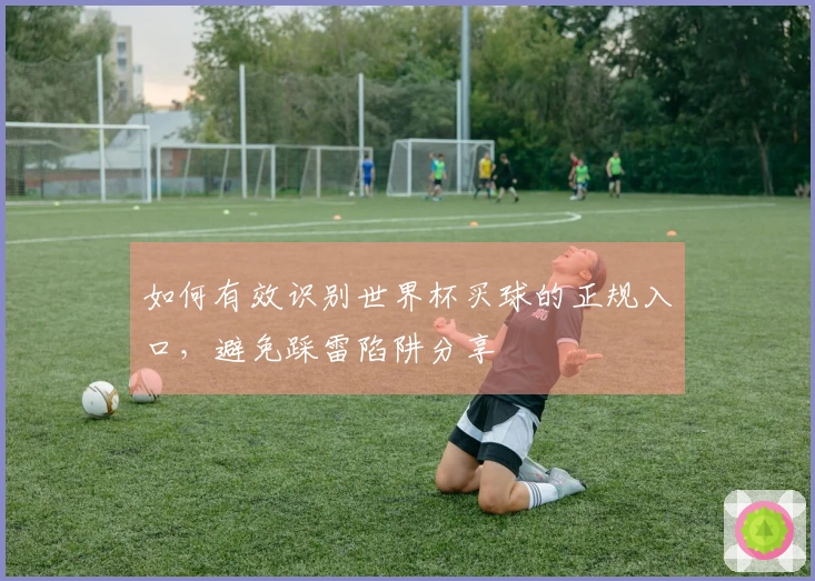 如何有效识别世界杯买球的正规入口，避免踩雷陷阱分享