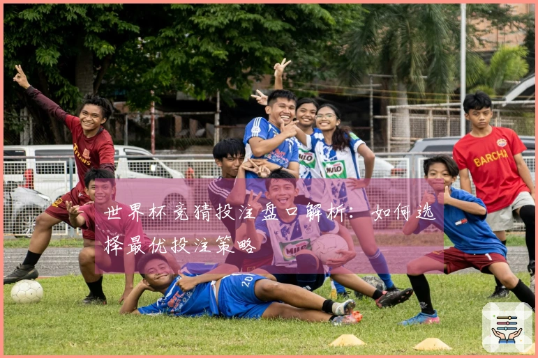 世界杯竞猜投注盘口解析：如何选择最优投注策略