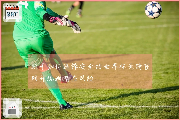 新手如何选择安全的世界杯竞猜官网并规避潜在风险