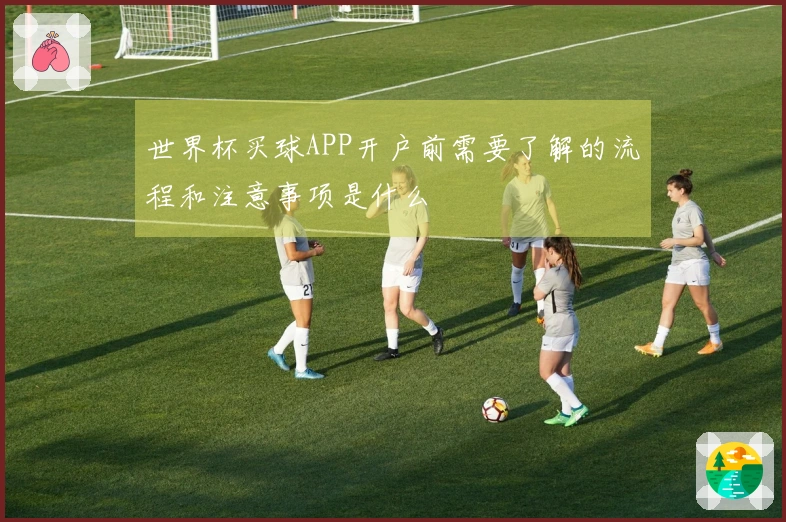 世界杯买球APP开户前需要了解的流程和注意事项是什么