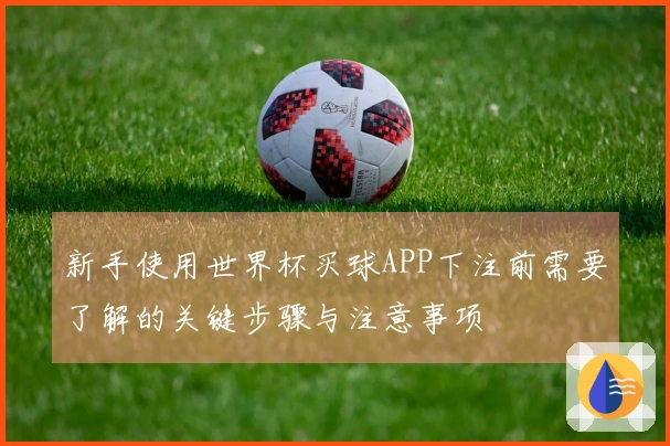 新手使用世界杯买球APP下注前需要了解的关键步骤与注意事项