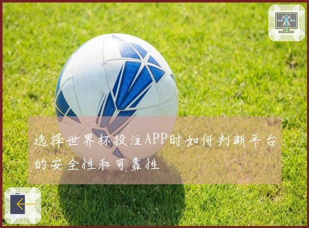选择世界杯投注APP时如何判断平台的安全性和可靠性