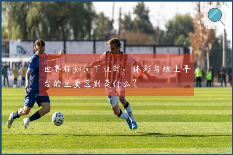 世界杯如何下注时，体彩与线上平台的主要区别是什么？