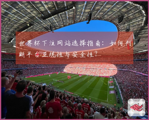 世界杯下注网站选择指南：如何判断平台正规性与安全性？