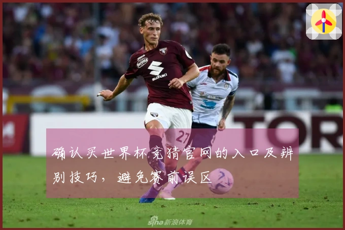 确认买世界杯竞猜官网的入口及辨别技巧，避免赛前误区