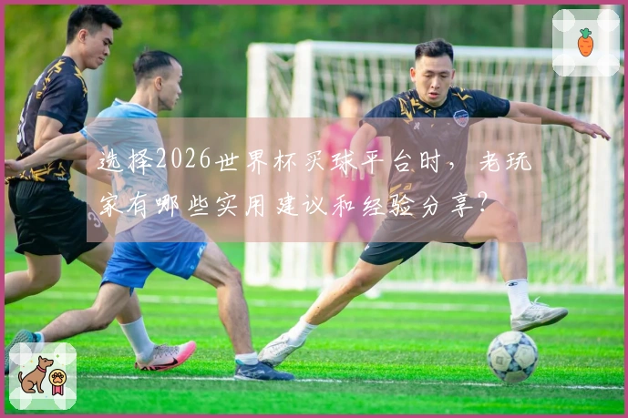 选择2026世界杯买球平台时，老玩家有哪些实用建议和经验分享？