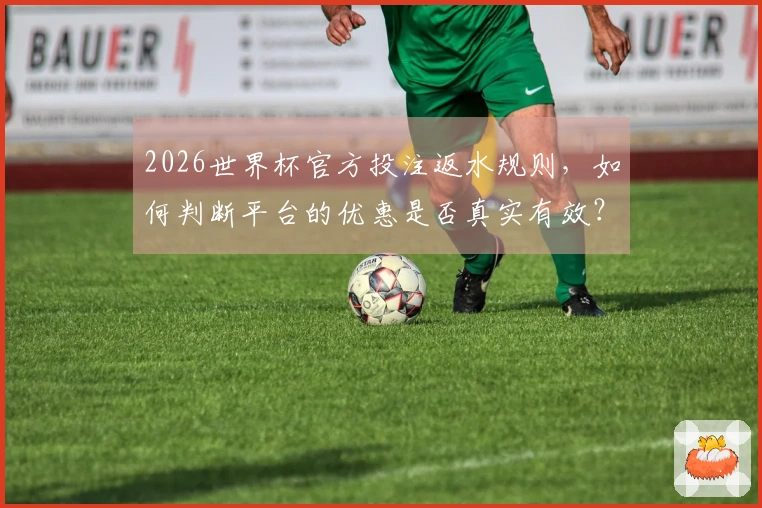 2026世界杯官方投注返水规则，如何判断平台的优惠是否真实有效？