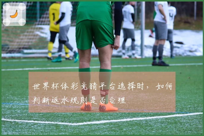 世界杯体彩竞猜平台选择时，如何判断返水规则是否合理