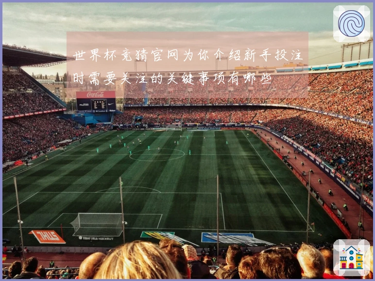 世界杯竞猜官网为你介绍新手投注时需要关注的关键事项有哪些