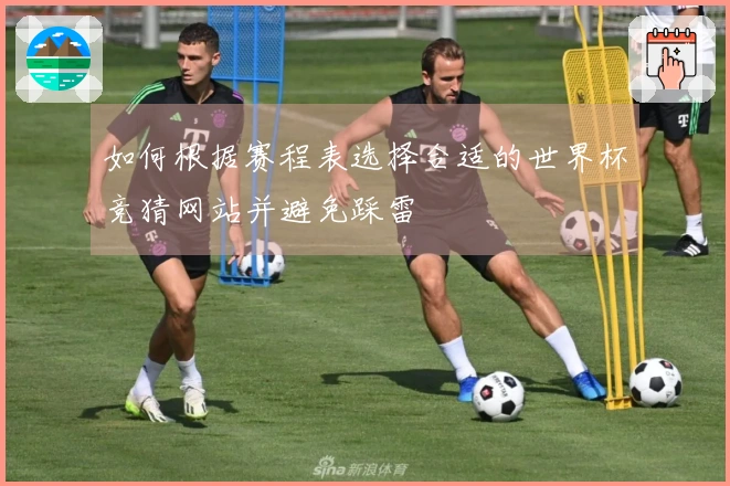 如何根据赛程表选择合适的世界杯竞猜网站并避免踩雷