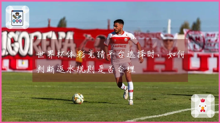 世界杯体彩竞猜平台选择时，如何判断返水规则是否合理