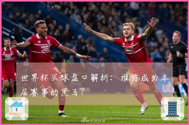 世界杯买球盘口解析：谁将成为本届赛事的黑马？
