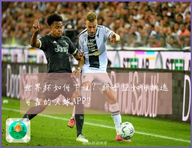 世界杯如何下注？新手应如何挑选可靠的买球APP？
