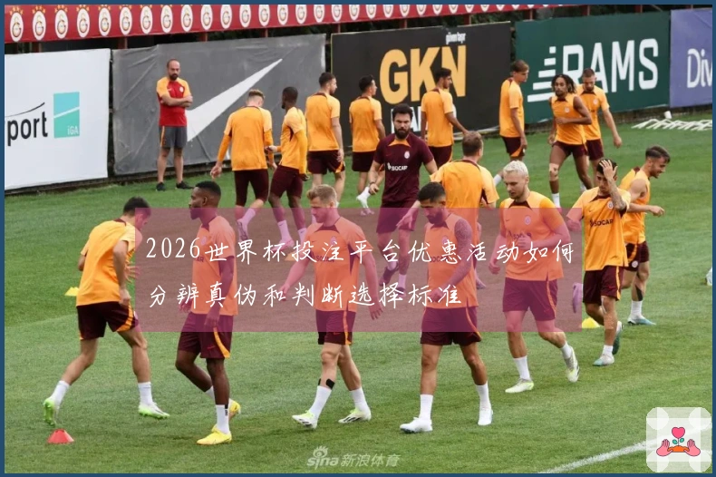 2026世界杯投注平台优惠活动如何分辨真伪和判断选择标准