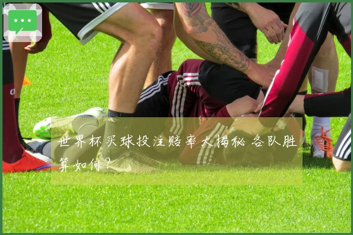 世界杯买球投注赔率大揭秘 各队胜算如何？