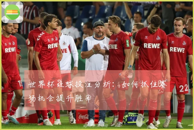 世界杯让球投注分析：如何抓住赛场机会提升胜率